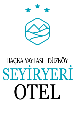 logo3